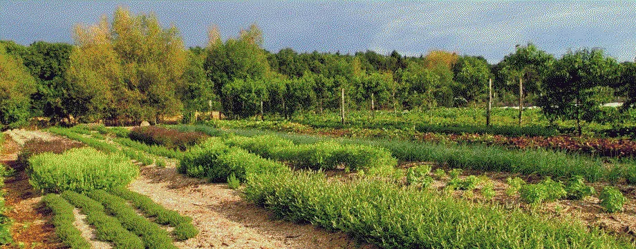 photo de la ferme de la Grande Rivière