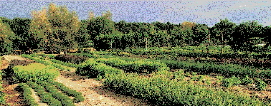 photo de la ferme de la Grande Rivière